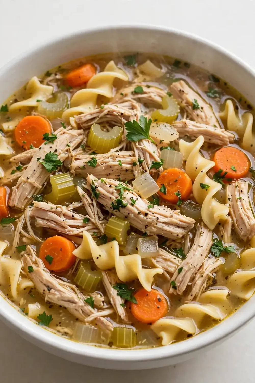 Crockpot Chicken Soup with Noodles